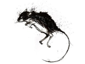 Not my drawing but a reminder to ass la/le petit suree to my narrative